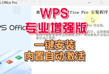 WPS表格怎么制作收支明细表？-WPS免费下载
